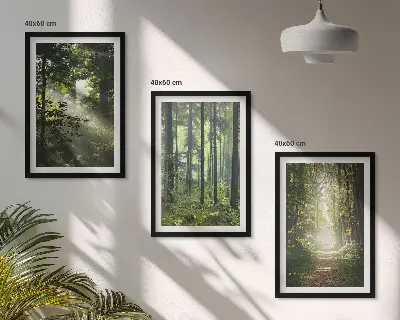 Juego de 3 cuadros con diseño de bosques verdes y rayos de luz