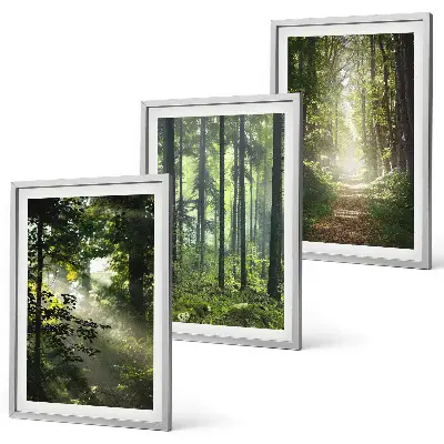 Juego de 3 cuadros con diseño de bosques verdes y rayos de luz