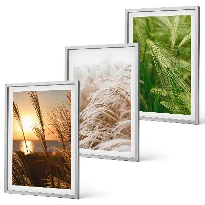 Set de 3 cuadros para salón con diseño de hierbas de colores naturales