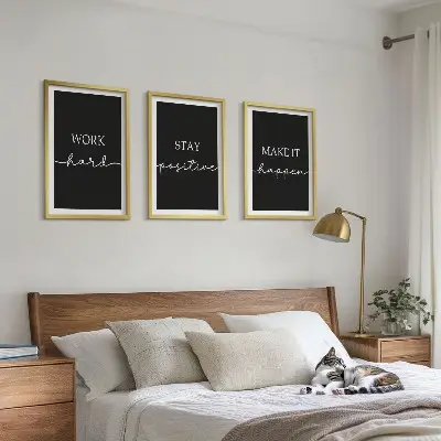 Juego de 3 cuadros con elegantes motivos sobre fondo negro