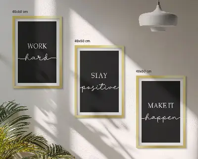 Juego de 3 cuadros con elegantes motivos sobre fondo negro