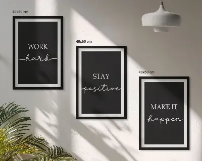 Juego de 3 cuadros con elegantes motivos sobre fondo negro
