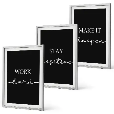 Juego de 3 cuadros con elegantes motivos sobre fondo negro