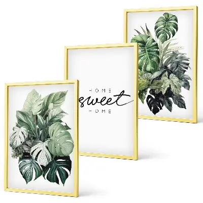 Juego de 3 cuadros de plantas con frase Dulce Hogar decoración de pared
