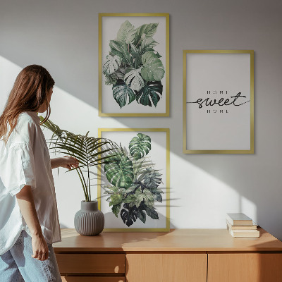 Juego de 3 cuadros Plantas con las palabras Dulce Hogar