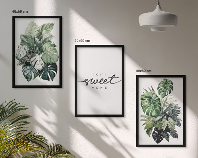 Juego de 3 cuadros Plantas con las palabras Dulce Hogar