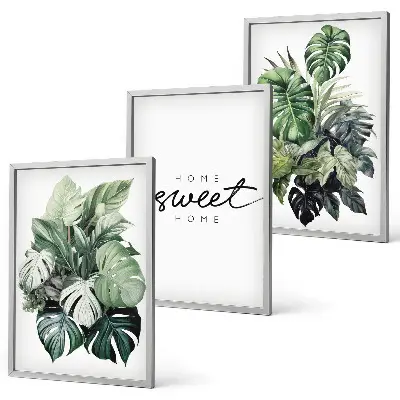 Juego de 3 cuadros de plantas con frase Dulce Hogar decoración de pared