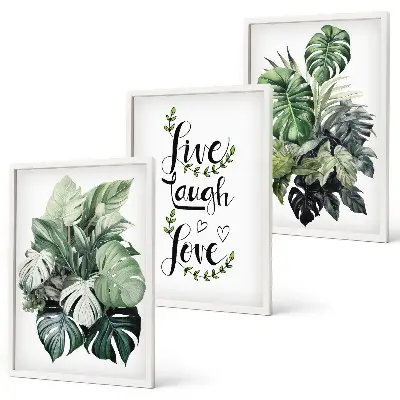 Set de 3 cuadros para salón con diseño de plantas de hojas verdes con frases motivadoras