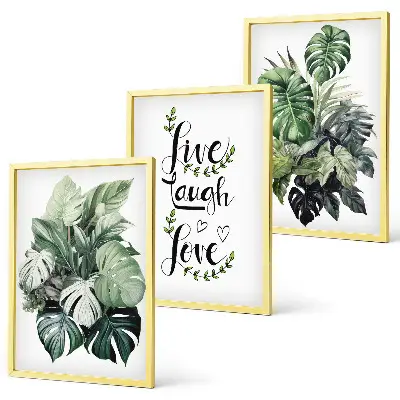 Set de 3 cuadros para salón con diseño de plantas de hojas verdes con frases motivadoras