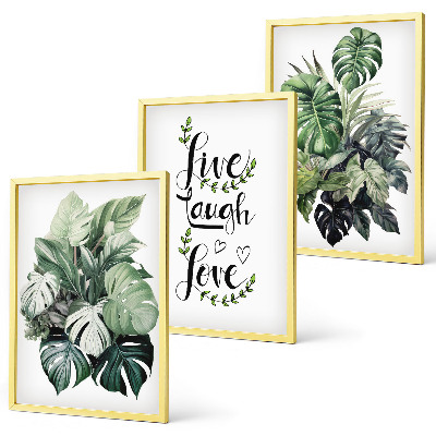 Set de 3 cuadros para salón Las plantas de hojas verdes viven, ríen y aman.