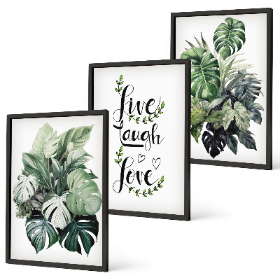 Set de 3 cuadros para salón Las plantas de hojas verdes viven, ríen y aman.