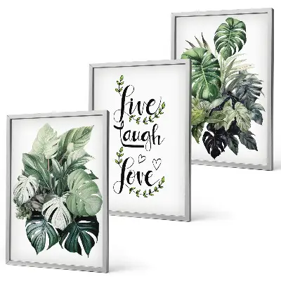 Set de 3 cuadros para salón con diseño de plantas de hojas verdes con frases motivadoras