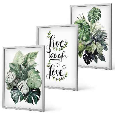 Set de 3 cuadros para salón Las plantas de hojas verdes viven, ríen y aman.
