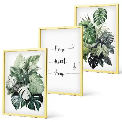 Set de 3 cuadros para salón con diseño de hojas de monstera en acuarela