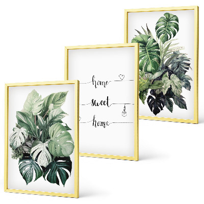 Set de 3 cuadros para salón Hojas de monstera en acuarela