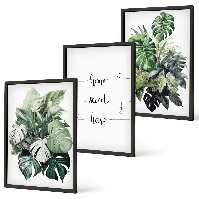 Set de 3 cuadros para salón con diseño de hojas de monstera en acuarela