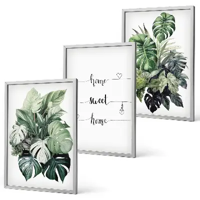 Set de 3 cuadros para salón con diseño de hojas de monstera en acuarela
