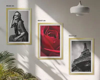 Set de 3 cuadros decorativos para salón diseño Una parisina con gafas Eiffel