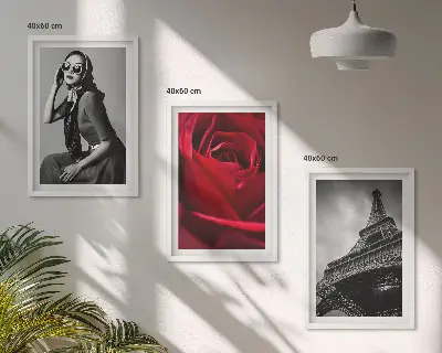 Set de 3 cuadros decorativos para salón diseño Una parisina con gafas Eiffel