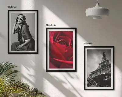 Set de 3 cuadros decorativos para salón diseño Una parisina con gafas Eiffel