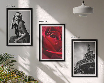 Set de 3 cuadros para salón Una parisina con gafas Eiffel