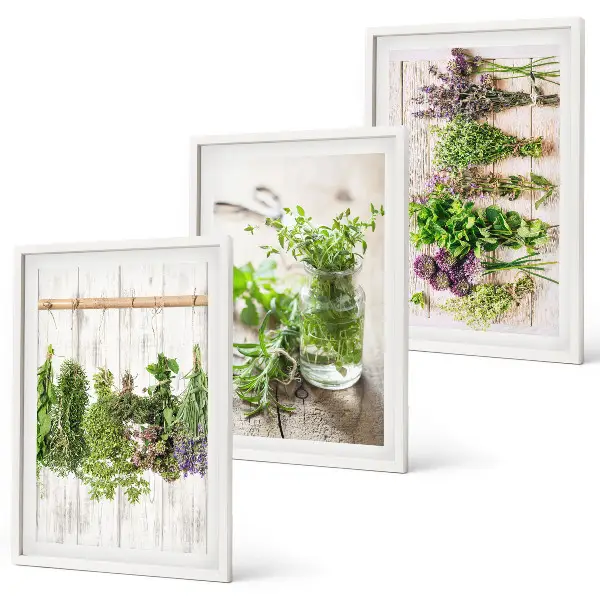 Set de 3 cuadros para salón con diseño de plantas aromáticas para la cocina