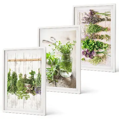 Set de 3 cuadros para salón con diseño de plantas aromáticas para la cocina