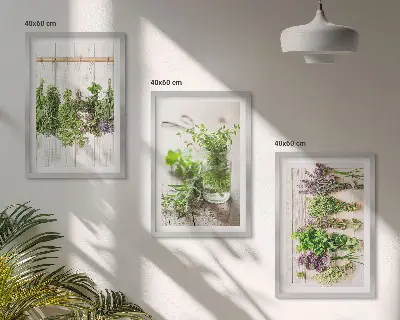 Set de 3 cuadros para salón con diseño de plantas aromáticas para la cocina