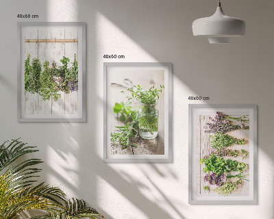 Set de 3 cuadros para salón Plantas aromáticas para la cocina
