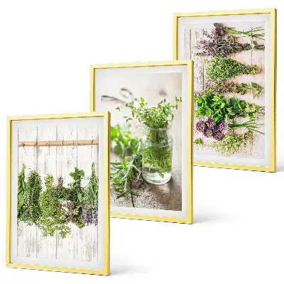 Set de 3 cuadros para salón con diseño de plantas aromáticas para la cocina