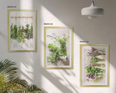 Set de 3 cuadros para salón con diseño de plantas aromáticas para la cocina