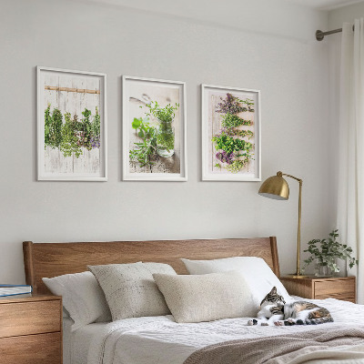 Set de 3 cuadros para salón Plantas aromáticas para la cocina