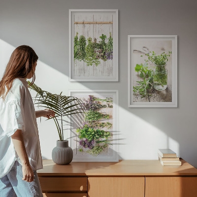 Set de 3 cuadros para salón Plantas aromáticas para la cocina