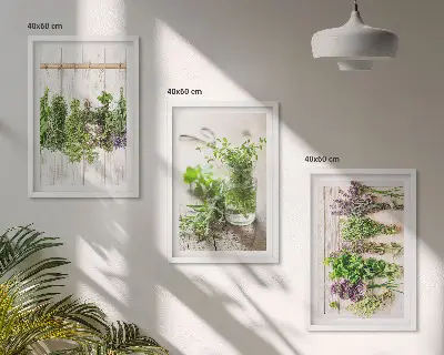 Set de 3 cuadros para salón con diseño de plantas aromáticas para la cocina