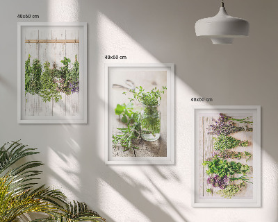 Set de 3 cuadros para salón Plantas aromáticas para la cocina