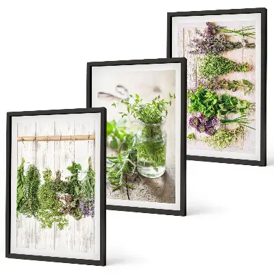 Set de 3 cuadros para salón con diseño de plantas aromáticas para la cocina