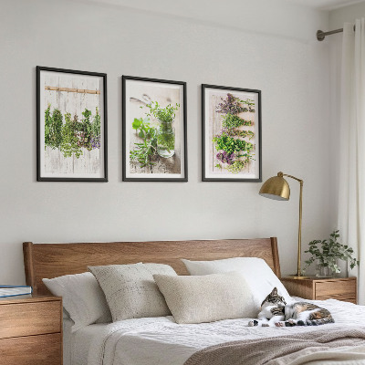 Set de 3 cuadros para salón Plantas aromáticas para la cocina