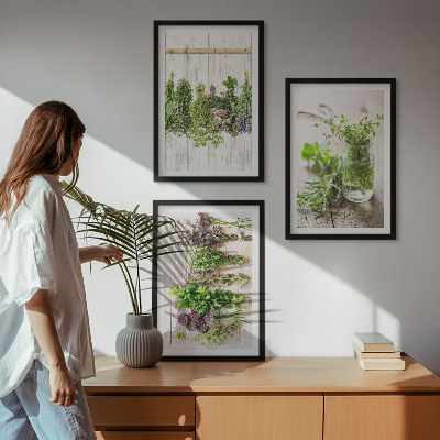 Set de 3 cuadros para salón Plantas aromáticas para la cocina