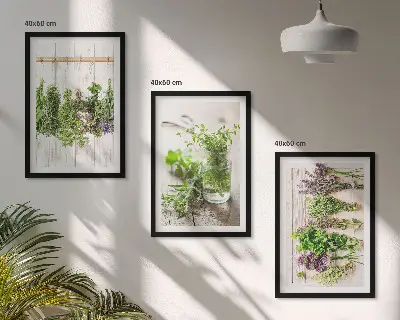Set de 3 cuadros para salón con diseño de plantas aromáticas para la cocina