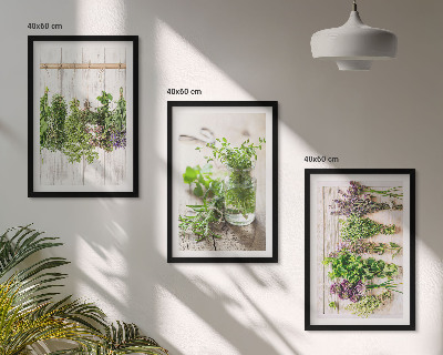 Set de 3 cuadros para salón Plantas aromáticas para la cocina