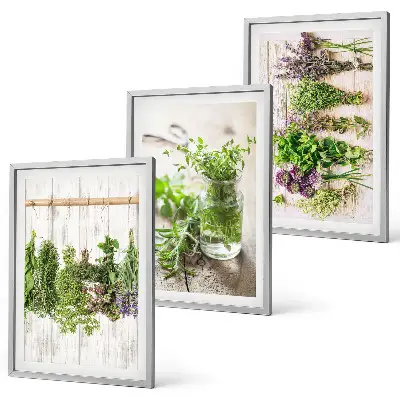 Set de 3 cuadros para salón con diseño de plantas aromáticas para la cocina