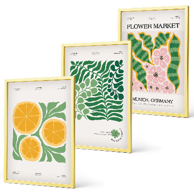Juego de 3 cuadros Motivos de frutas y plantas en tonos pastel