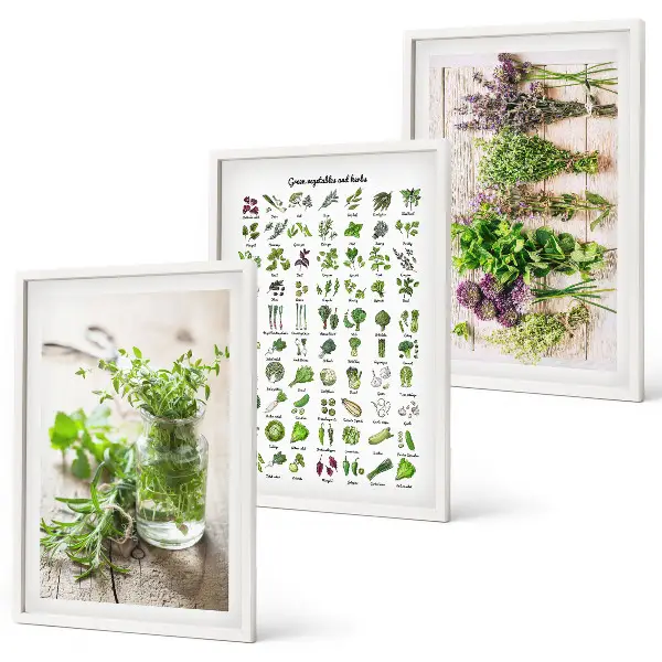 Set de 3 cuadros de hierbas secas para decoración de cocina