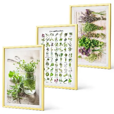 Set de 3 cuadros de hierbas secas para decoración de cocina