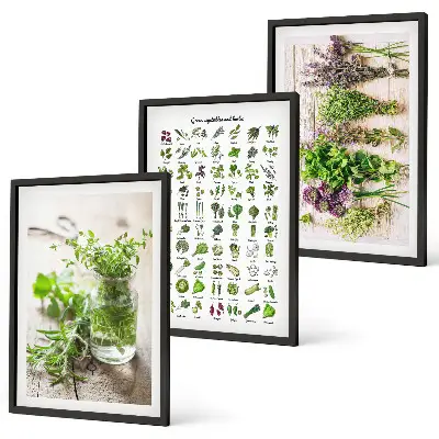 Set de 3 cuadros de hierbas secas para decoración de cocina