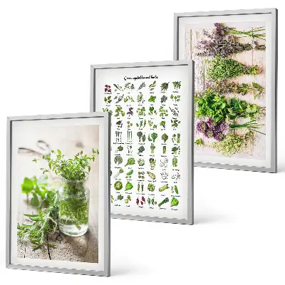 Set de 3 cuadros de hierbas secas para decoración de cocina