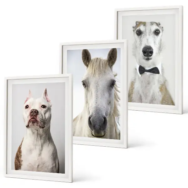 Set de 3 cuadros de retratos de perros y caballos con diseño elegante para salón