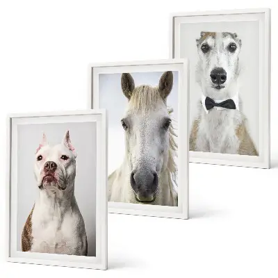 Set de 3 cuadros de retratos de perros y caballos con diseño elegante para salón