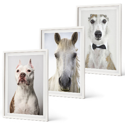 Set de 3 cuadros para salón Retratos de perros y caballos con elegancia