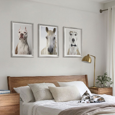 Set de 3 cuadros para salón Retratos de perros y caballos con elegancia